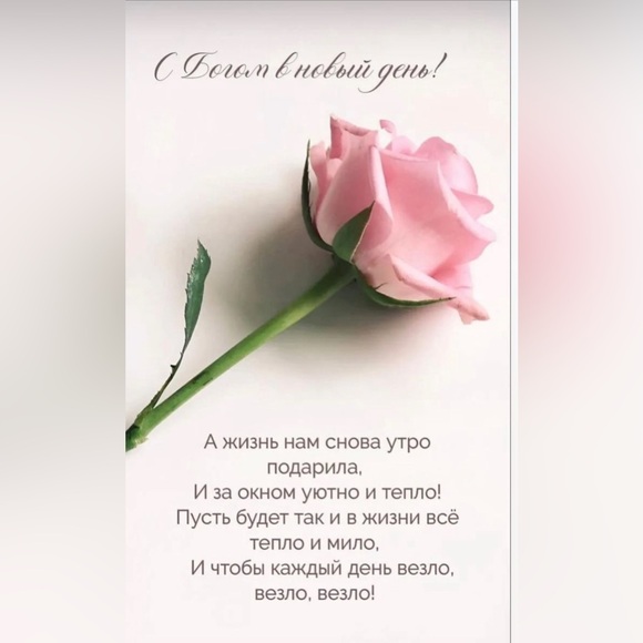 Meet your Posher, Mila - Picture 12 of 15